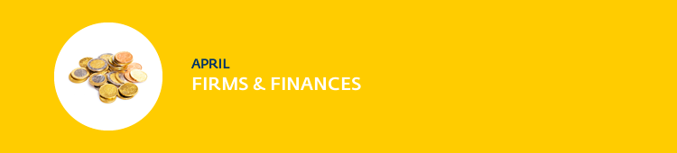Firms and Finances