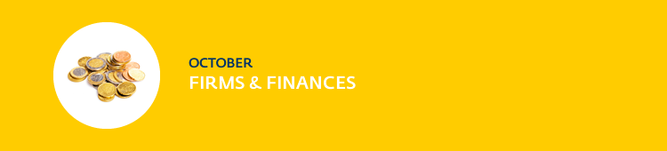 Firms and Finances